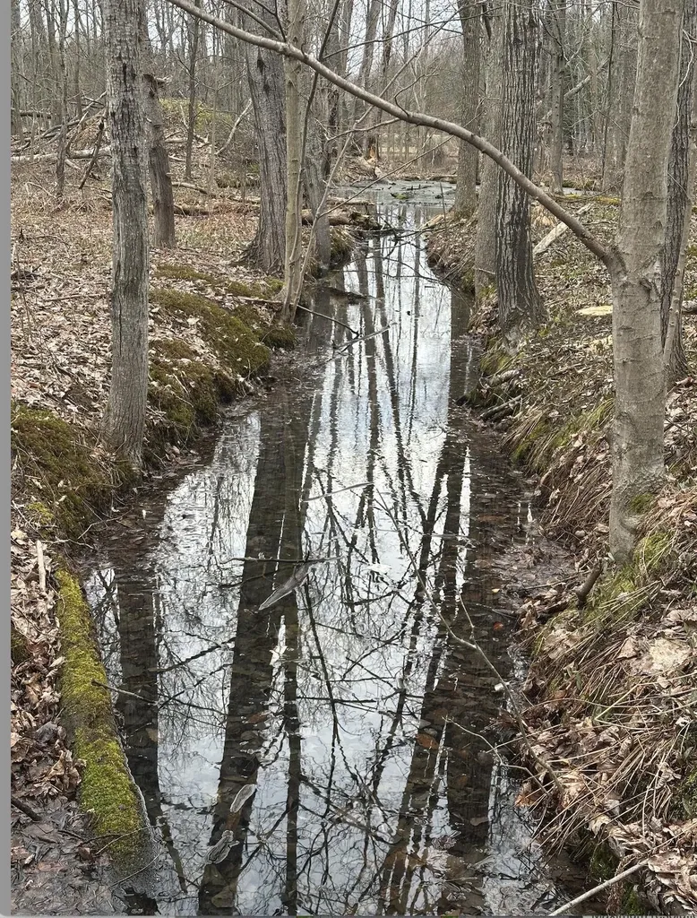 00 W Deborah Ann Trail Empire Township MI 49630