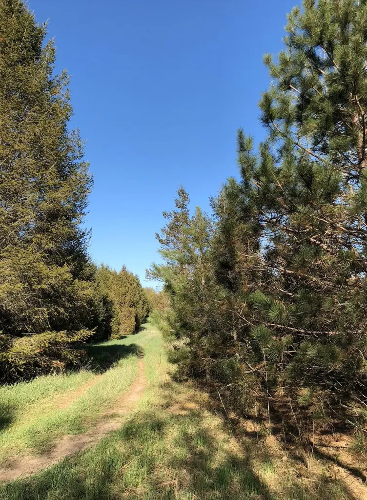 00 W Deborah Ann Trail Empire Township MI 49630
