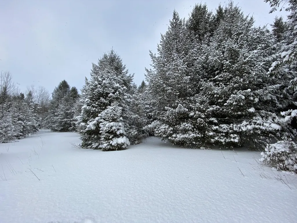 00 W Deborah Ann Trail Empire Township MI 49630