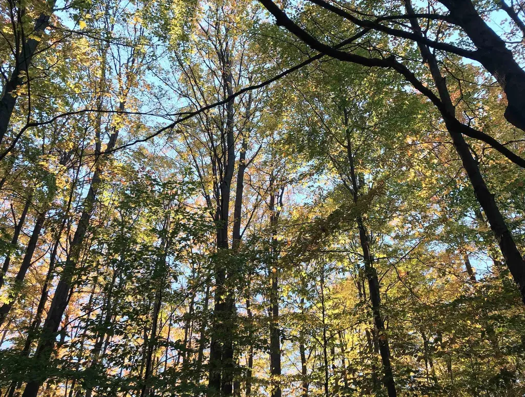 00 W Deborah Ann Trail Empire Township MI 49630