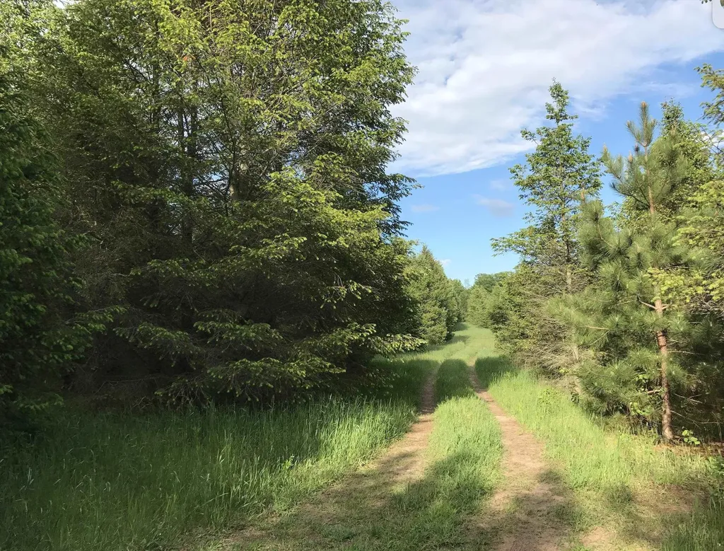 00 W Deborah Ann Trail Empire Township MI 49630