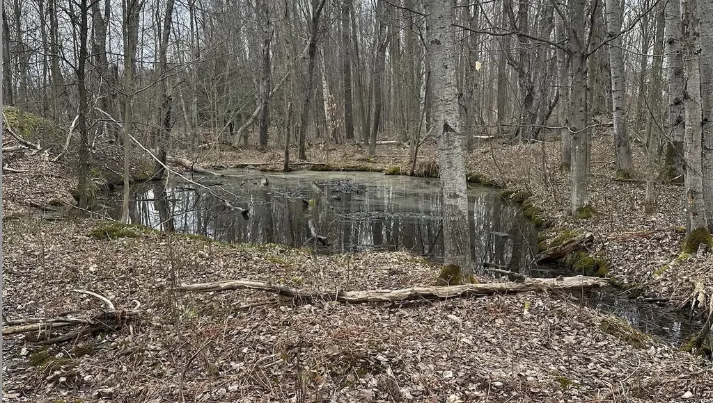 00 W Deborah Ann Trail Empire Township MI 49630