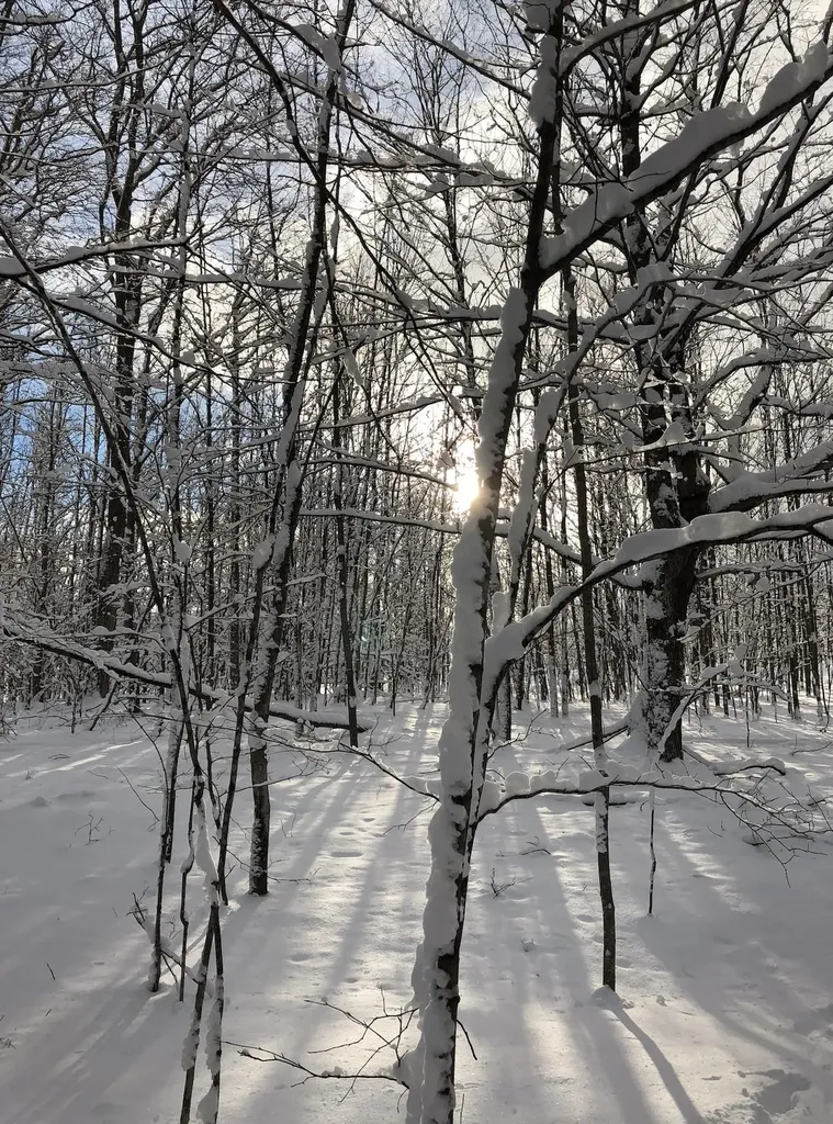 00 W Deborah Ann Trail Empire Township MI 49630