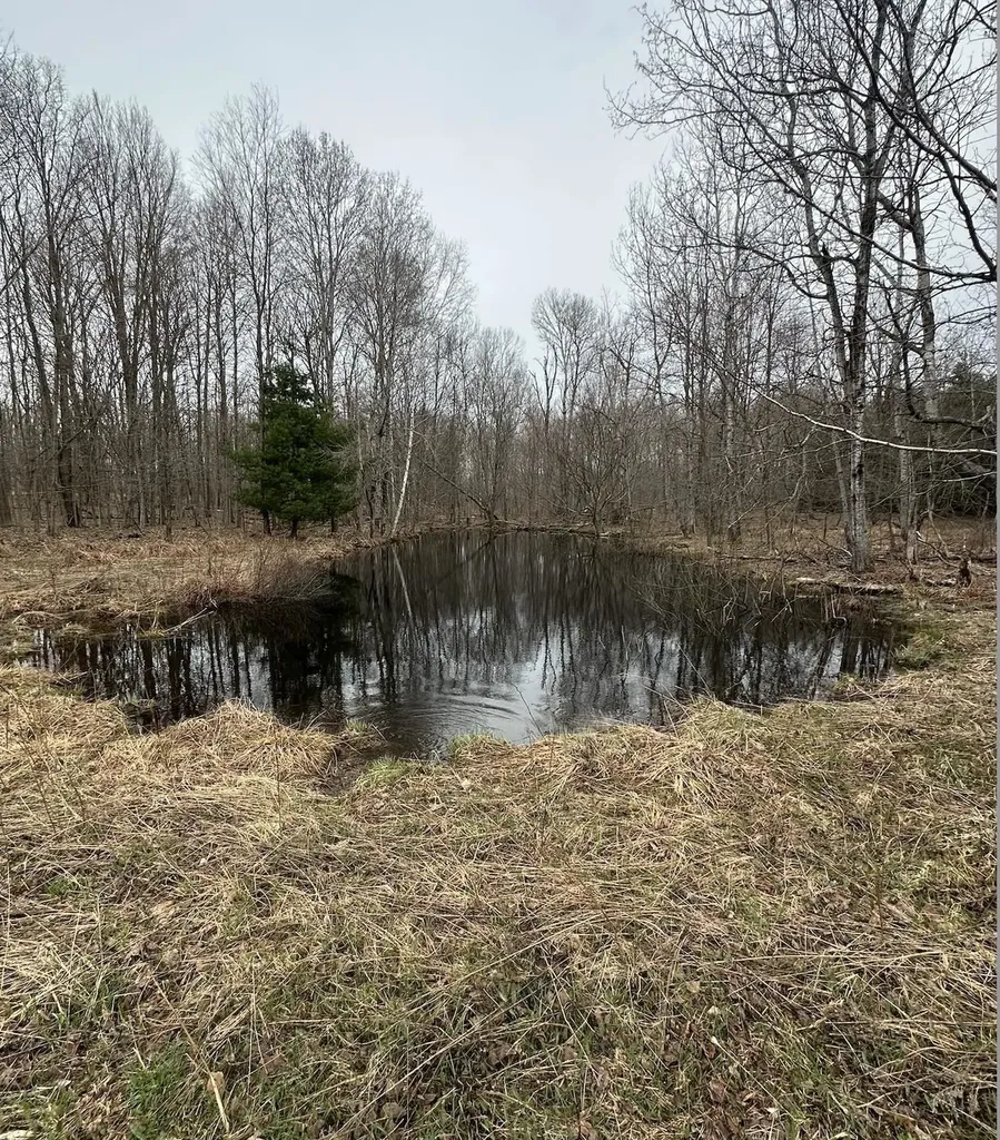 00 W Deborah Ann Trail Empire Township MI 49630