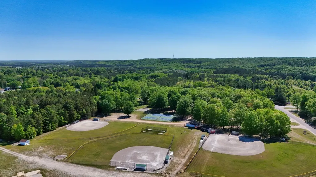 206 N Maple Street Mancelona Township MI 49659