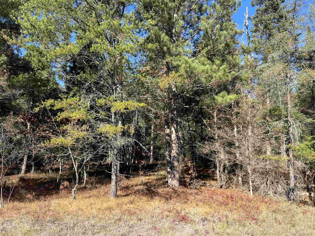 00 E North Down River Road Lovells Township MI 49738