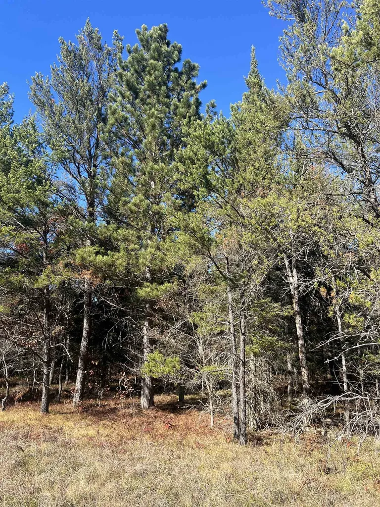 00 E North Down River Road Lovells Township MI 49738