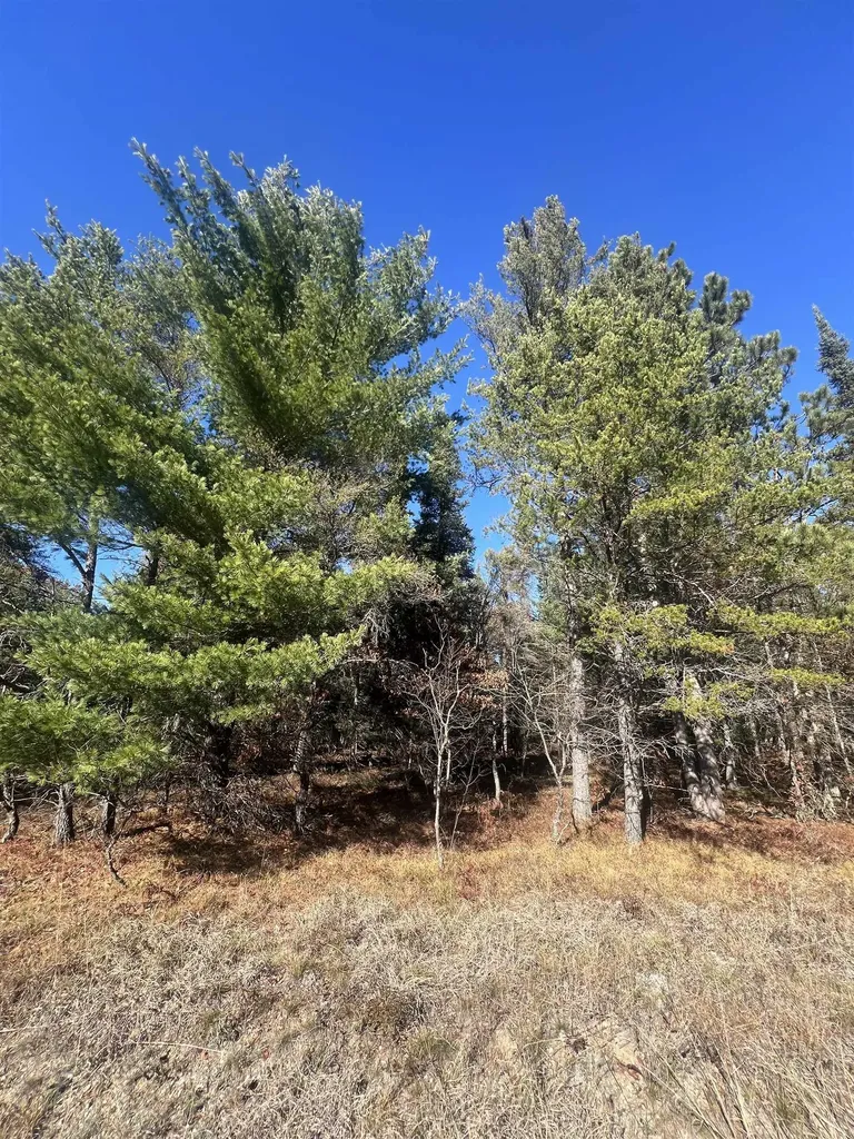 00 E North Down River Road Lovells Township MI 49738