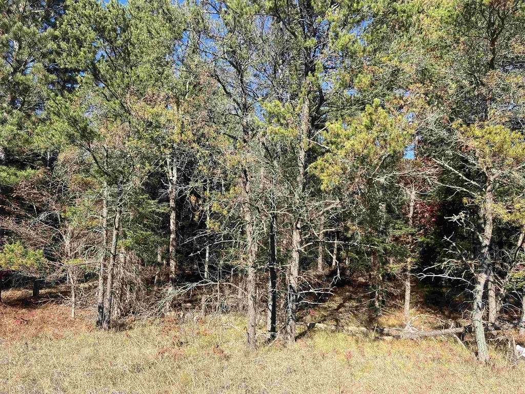 00 E North Down River Road Lovells Township MI 49738