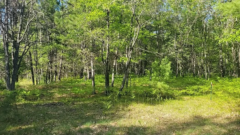 Parcel 3 Sumac Trail Grayling Charter Township MI 49738