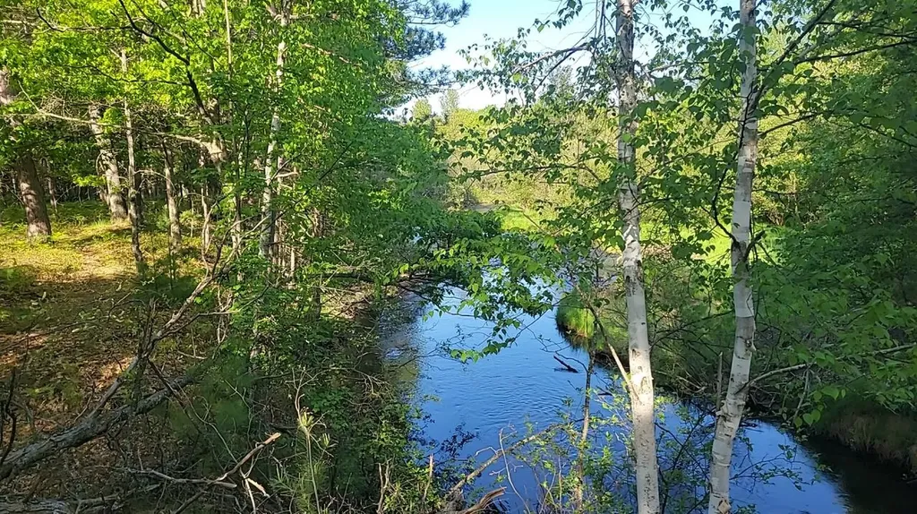 Parcel 3 Sumac Trail Grayling Charter Township MI 49738