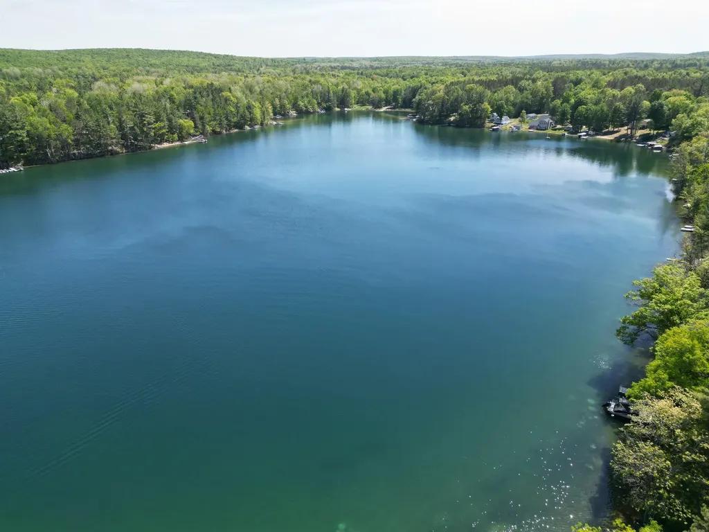 10172 NE Carmichael Drive Blue Lake Township MI 49659