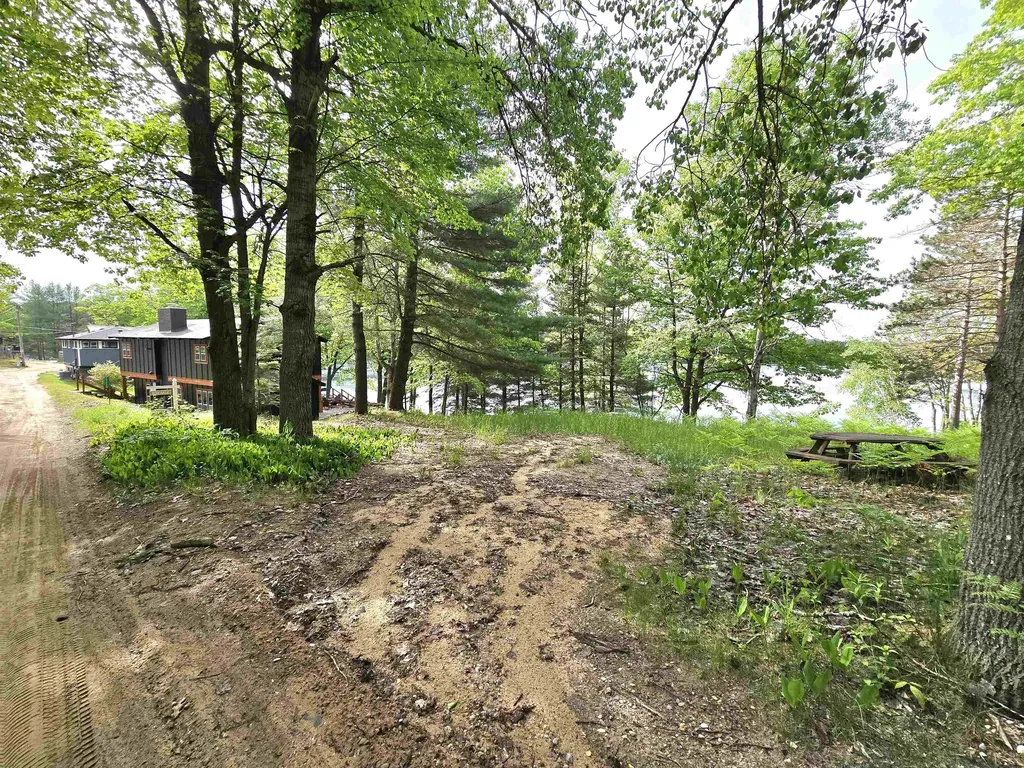 10172 NE Carmichael Drive Blue Lake Township MI 49659
