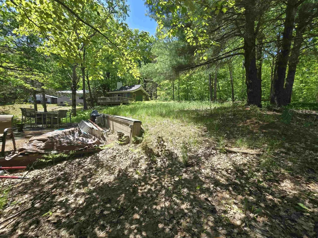10172 NE Carmichael Drive Blue Lake Township MI 49659