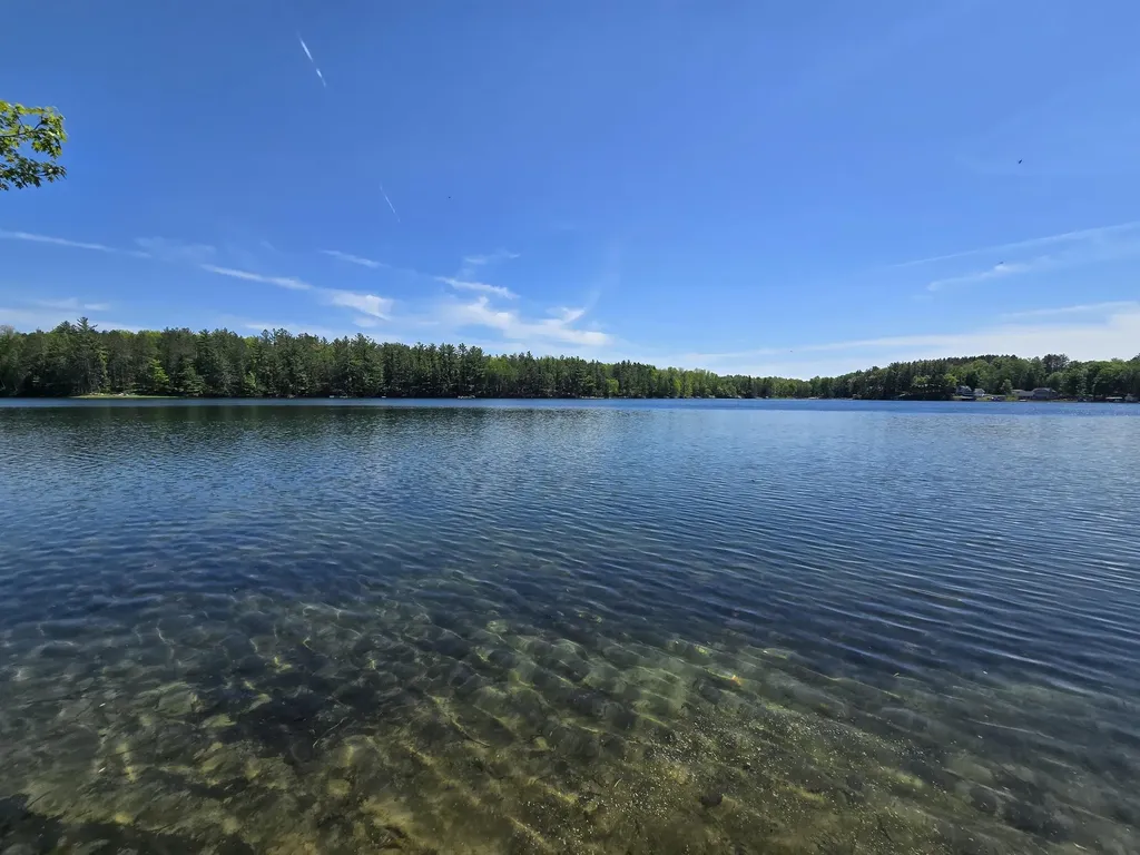 10172 NE Carmichael Drive Blue Lake Township MI 49659