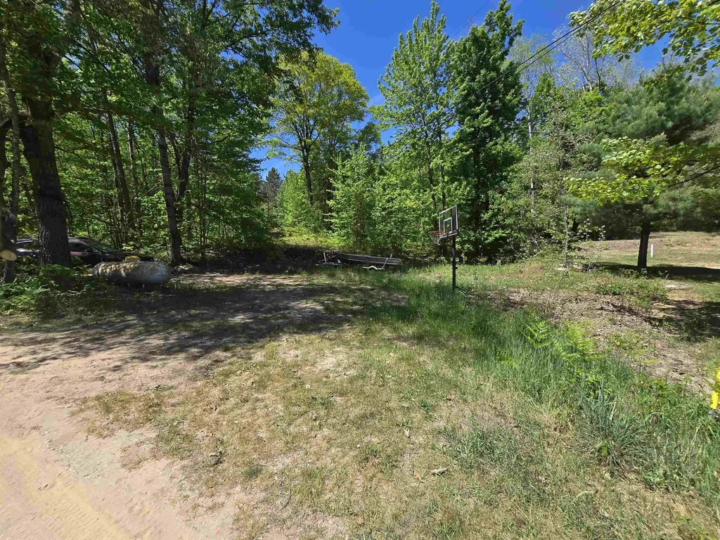 10172 NE Carmichael Drive Blue Lake Township MI 49659
