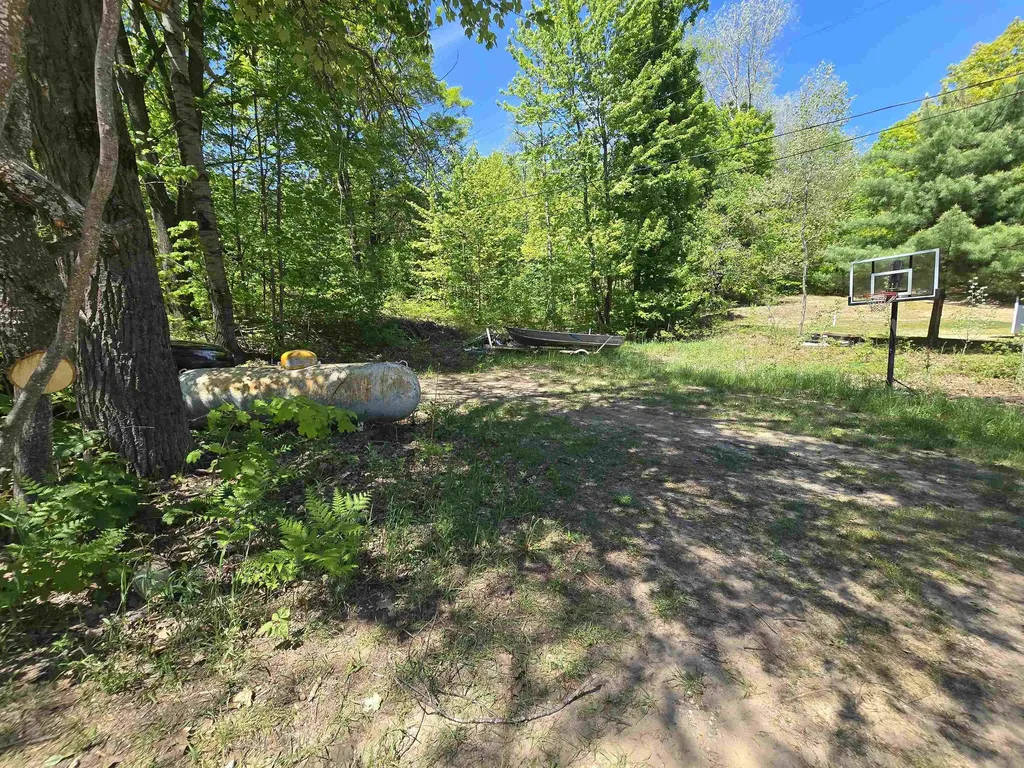 10172 NE Carmichael Drive Blue Lake Township MI 49659
