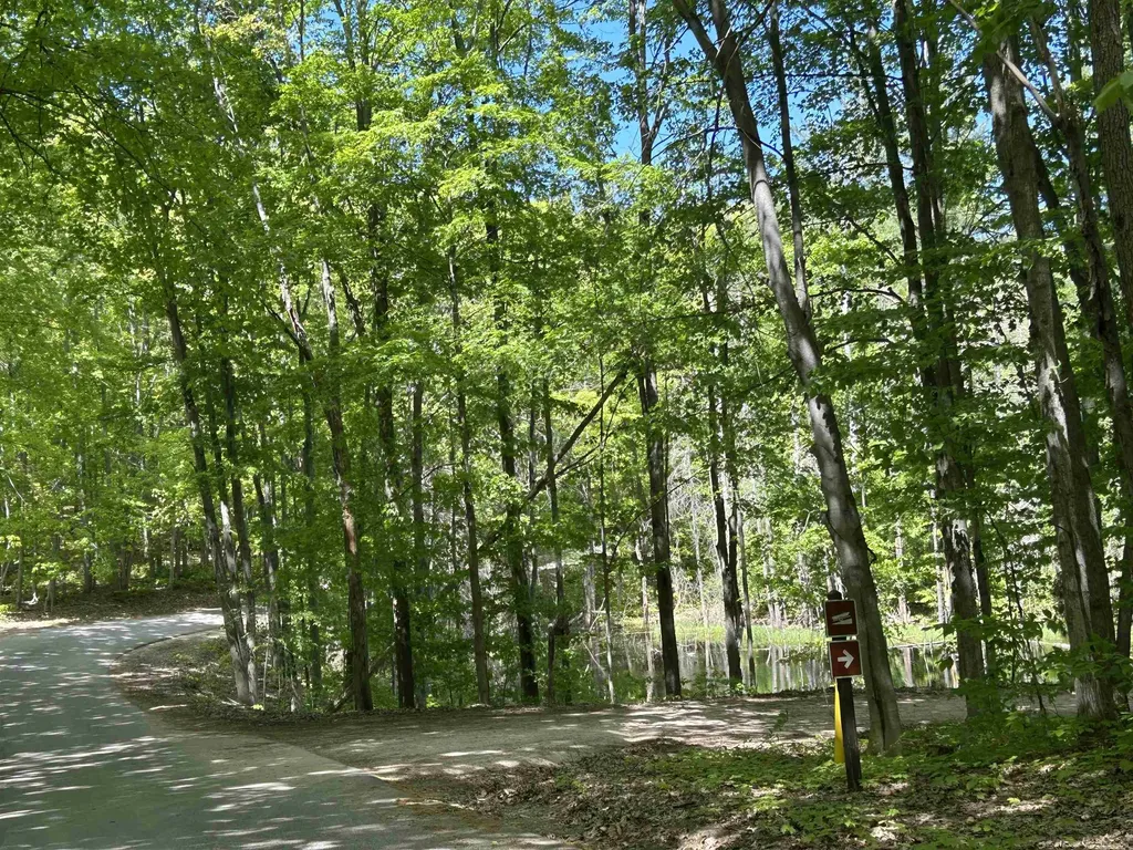 9149 N Twin Lake Road Coldsprings Township MI 49659