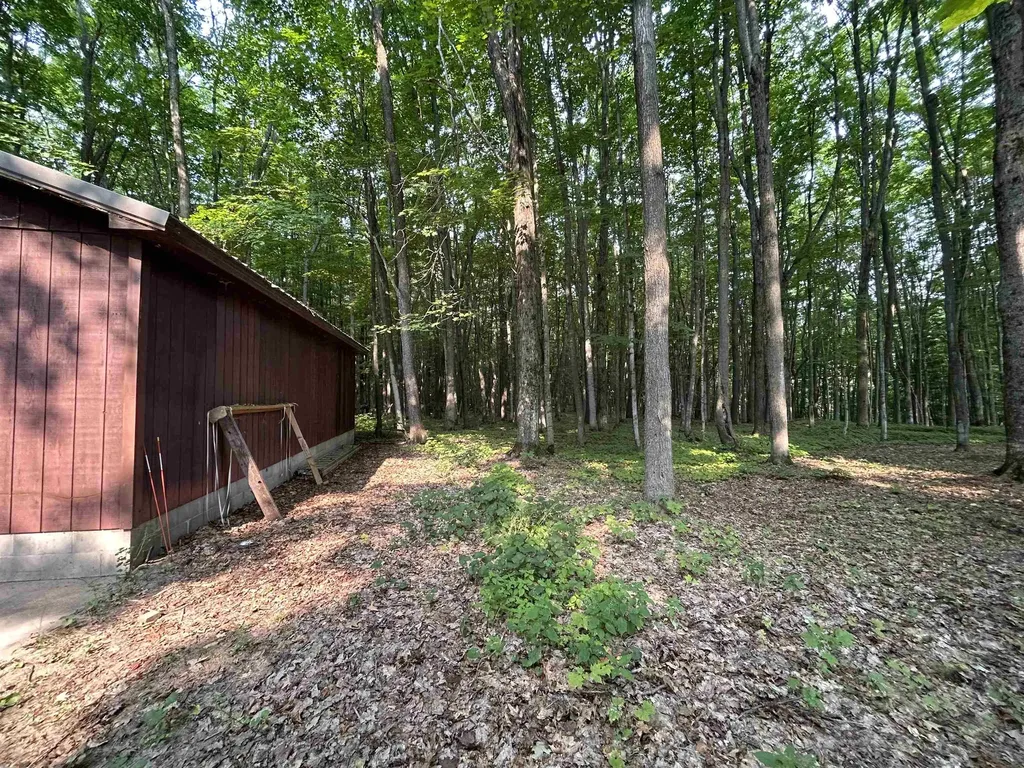 9149 N Twin Lake Road Coldsprings Township MI 49659