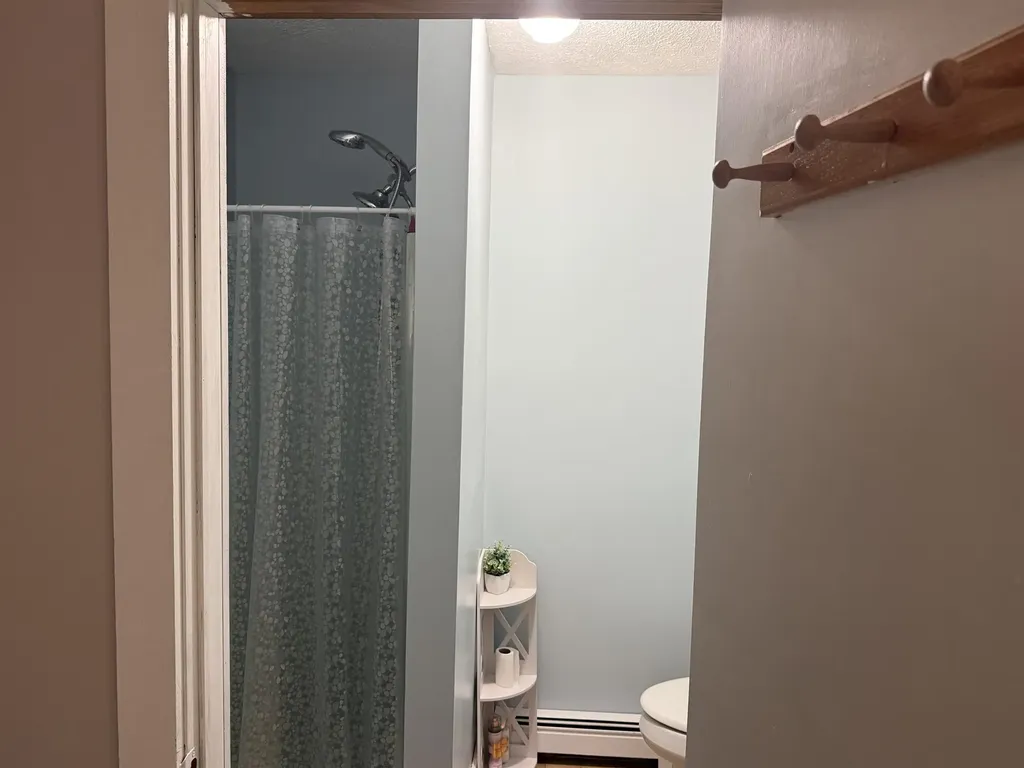 9149 N Twin Lake Road Coldsprings Township MI 49659