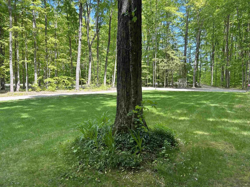 9149 N Twin Lake Road Coldsprings Township MI 49659