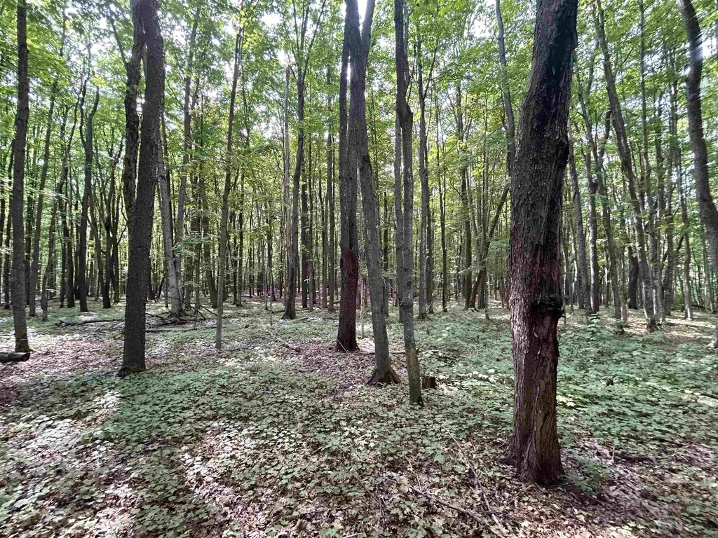 9149 N Twin Lake Road Coldsprings Township MI 49659