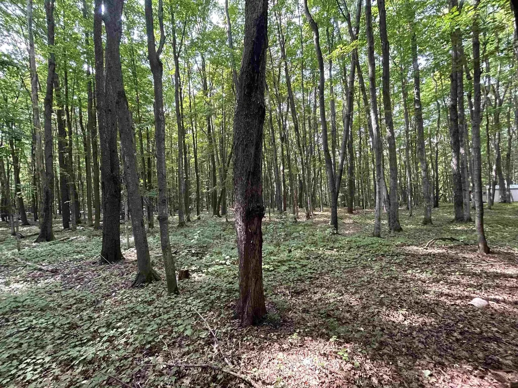 9149 N Twin Lake Road Coldsprings Township MI 49659