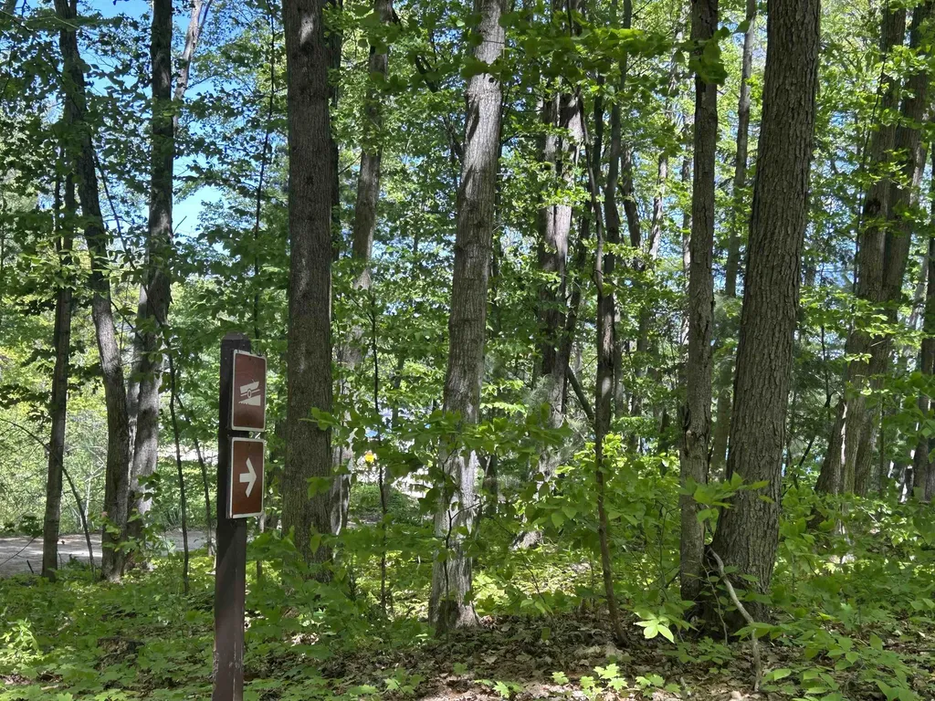 9149 N Twin Lake Road Coldsprings Township MI 49659