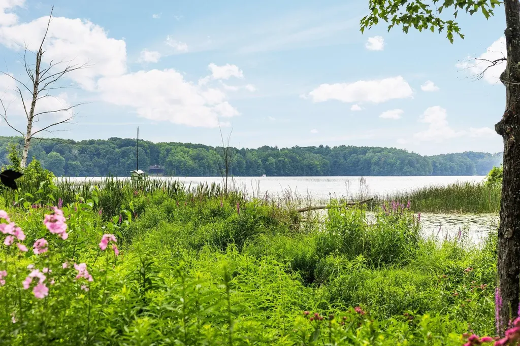 8370 Lake Of The Woods Road Custer Township MI 49615