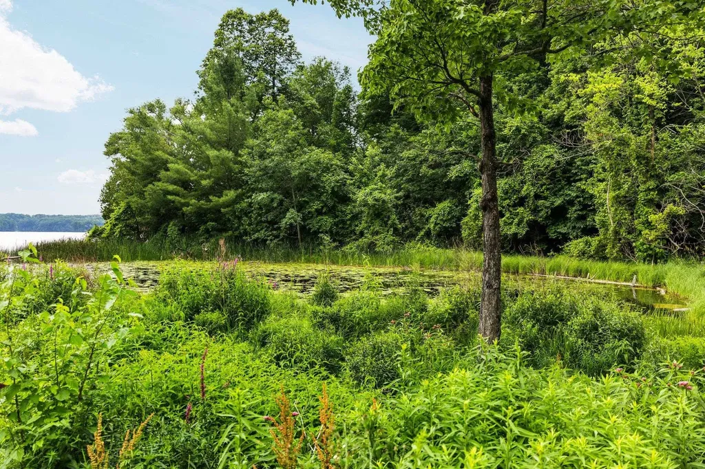 8370 Lake Of The Woods Road Custer Township MI 49615