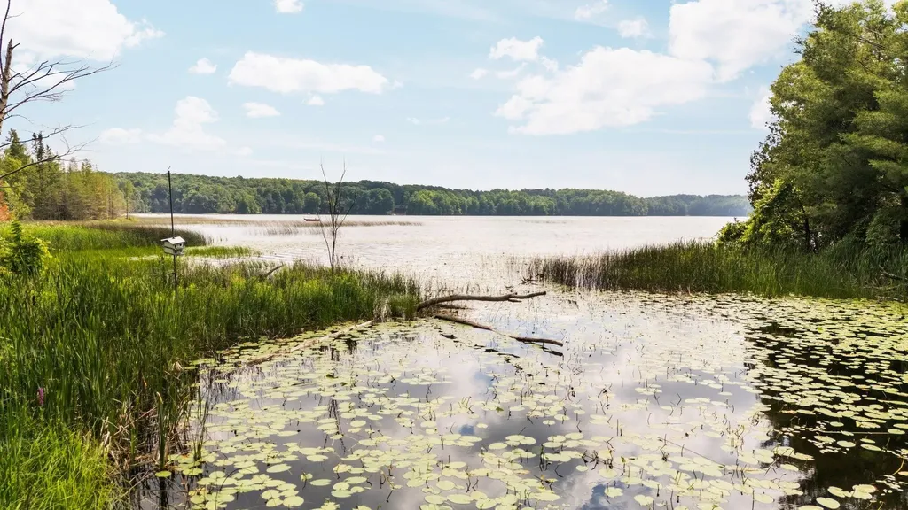 8370 Lake Of The Woods Road Custer Township MI 49615