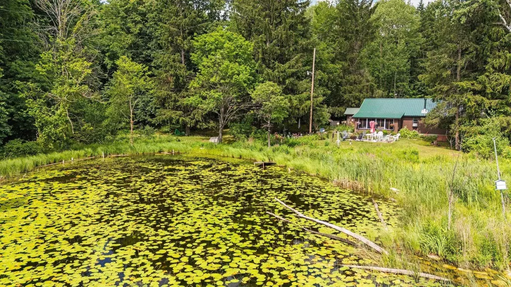 8370 Lake Of The Woods Road Custer Township MI 49615