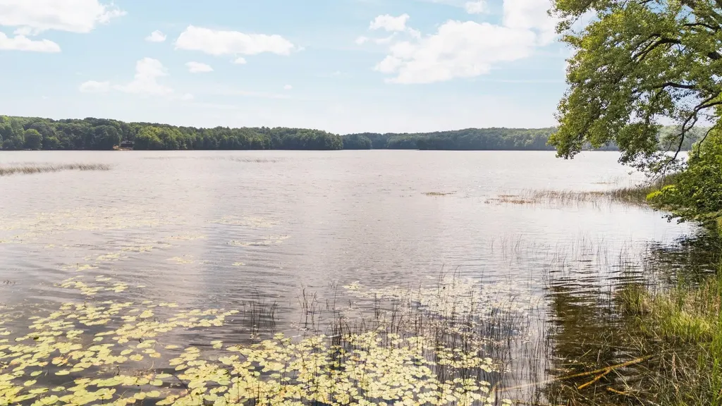8370 Lake Of The Woods Road Custer Township MI 49615
