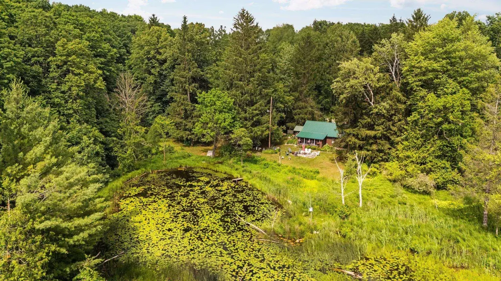 8370 Lake Of The Woods Road Custer Township MI 49615