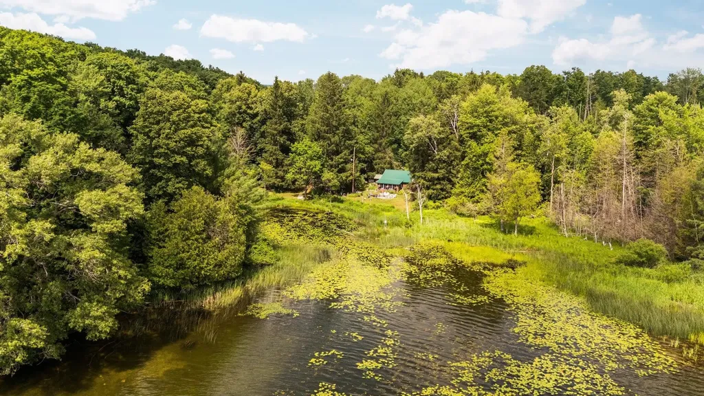 8370 Lake Of The Woods Road Custer Township MI 49615