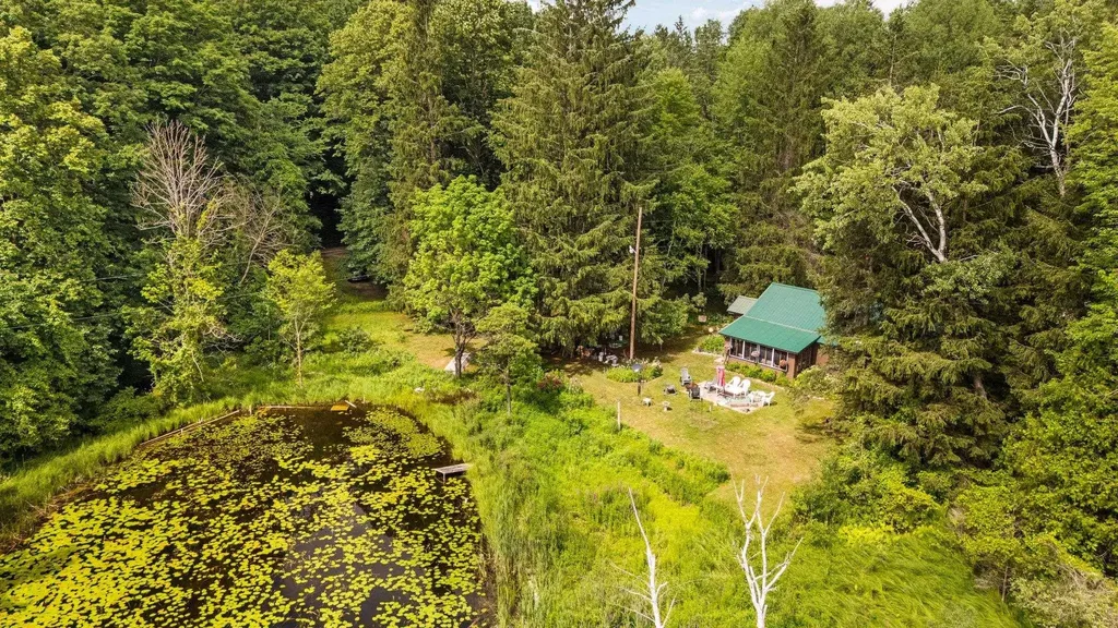 8370 Lake Of The Woods Road Custer Township MI 49615