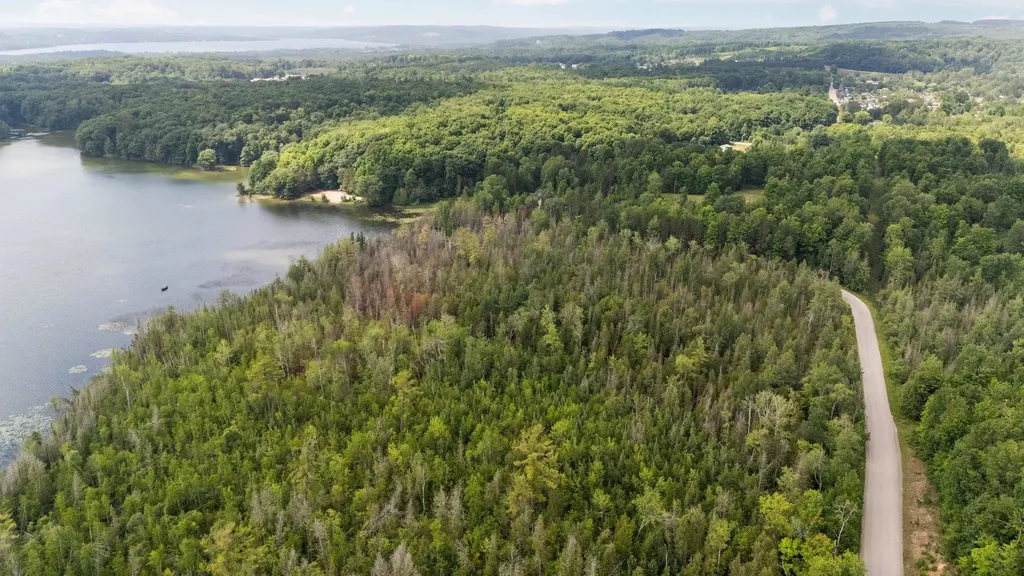 8370 Lake Of The Woods Road Custer Township MI 49615