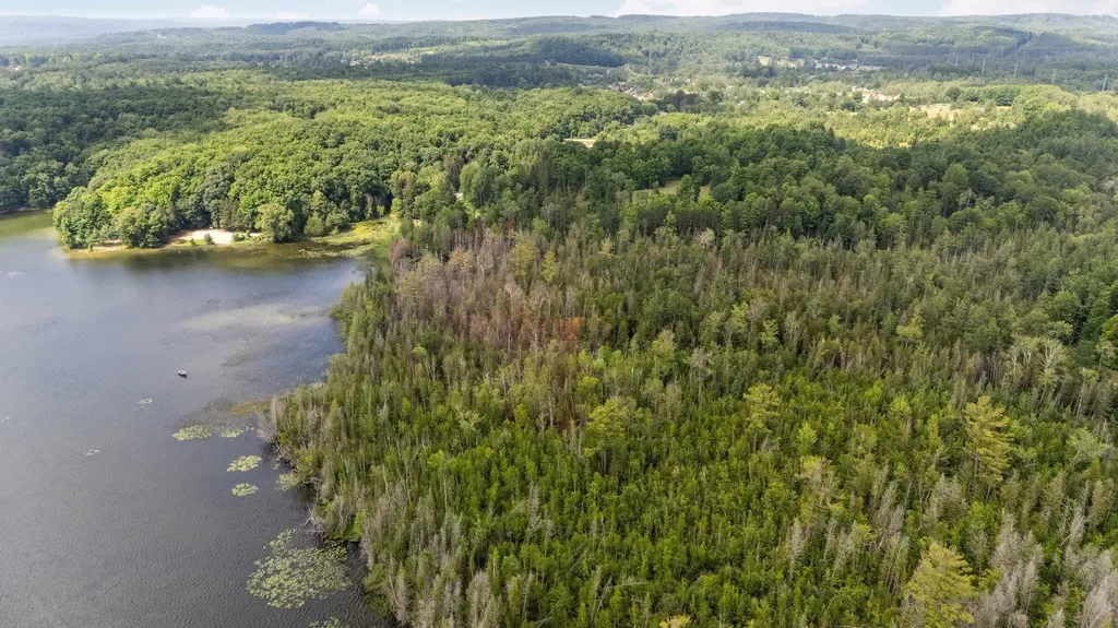 8370 Lake Of The Woods Road Custer Township MI 49615