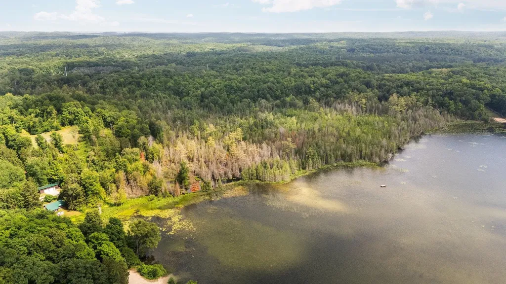 8370 Lake Of The Woods Road Custer Township MI 49615