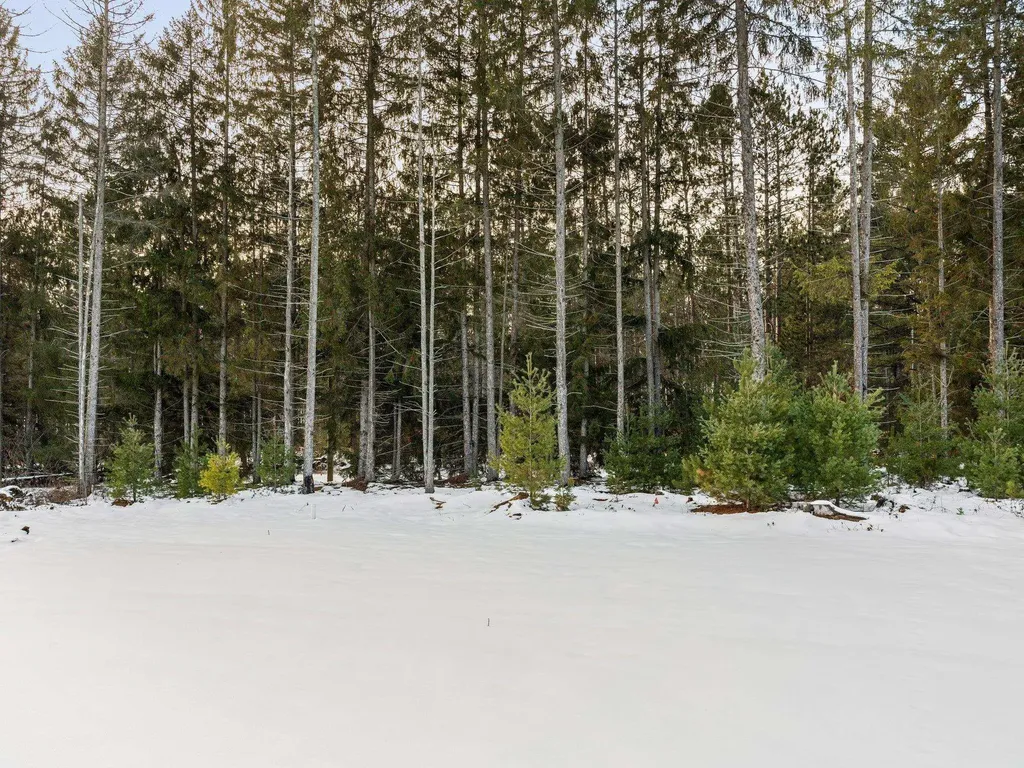 Tbb 5086 Red Maple Drive Orange Township MI 49646
