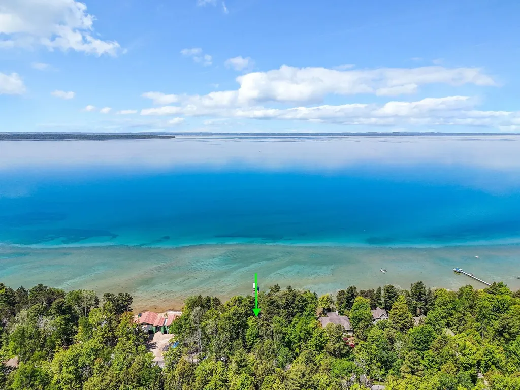 2014 Birchview Drive Torch Lake Township MI 49648