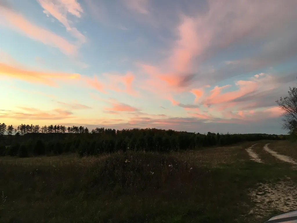 8655 SE Campbell Road Garfield Township MI 49633