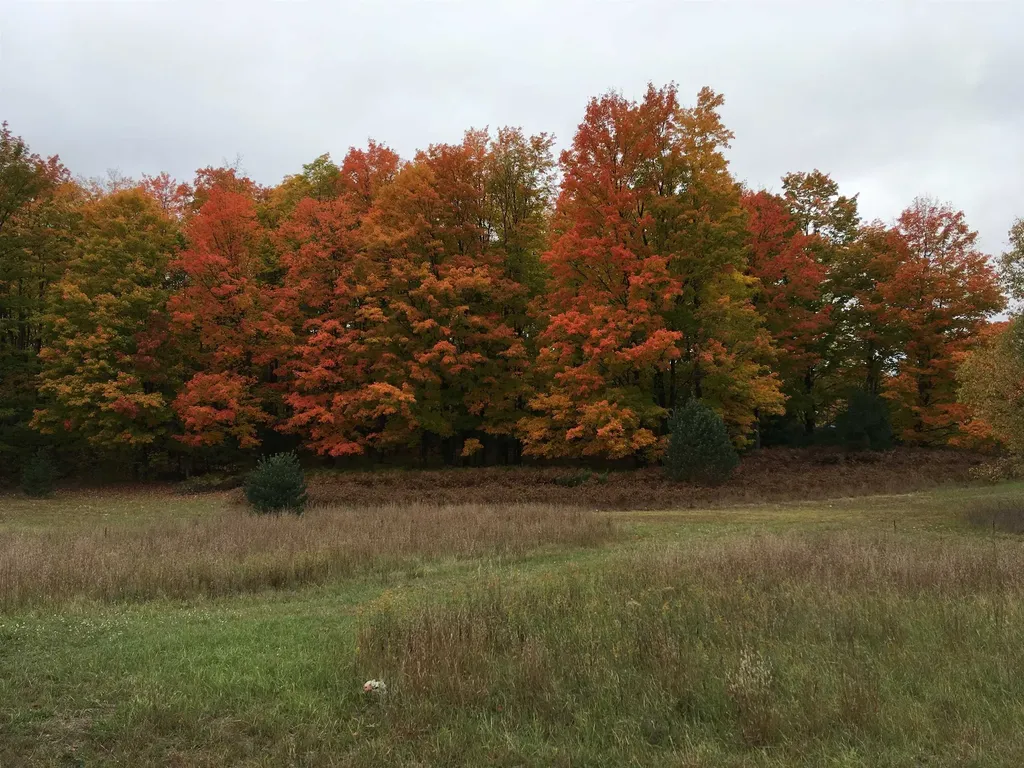 8655 SE Campbell Road Garfield Township MI 49633