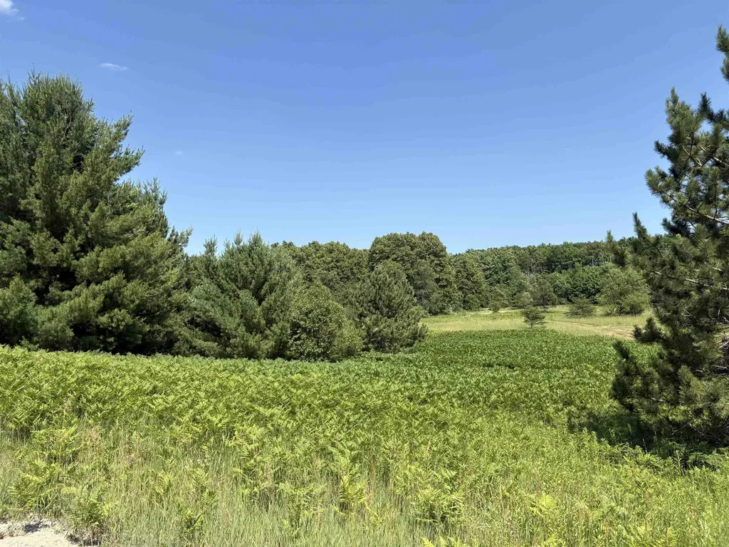 8655 SE Campbell Road Garfield Township MI 49633