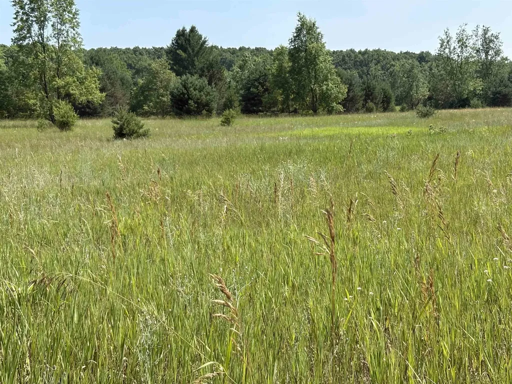8655 SE Campbell Road Garfield Township MI 49633