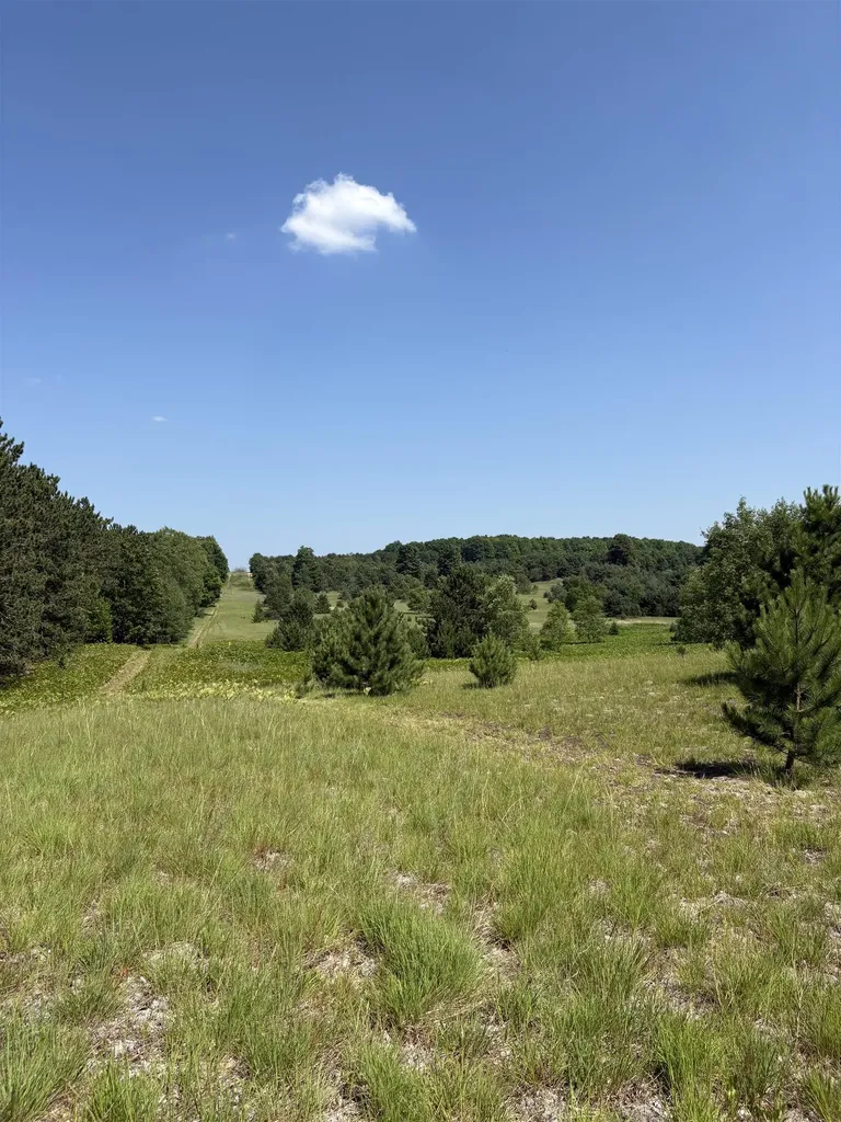 8655 SE Campbell Road Garfield Township MI 49633
