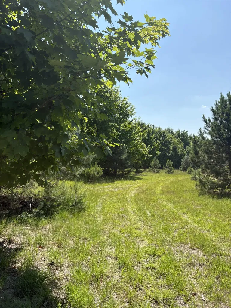 8655 SE Campbell Road Garfield Township MI 49633