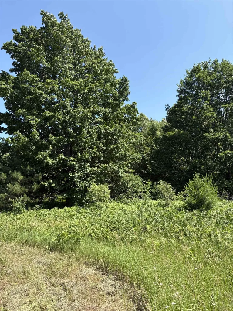 8655 SE Campbell Road Garfield Township MI 49633