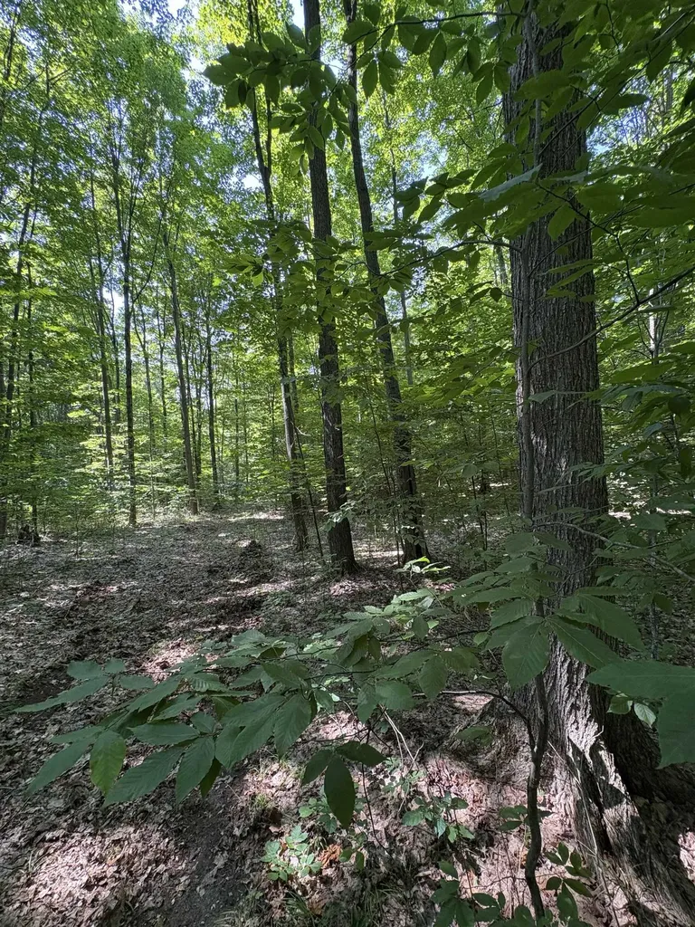 8655 SE Campbell Road Garfield Township MI 49633