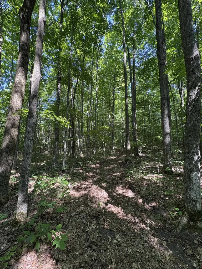 8655 SE Campbell Road Garfield Township MI 49633